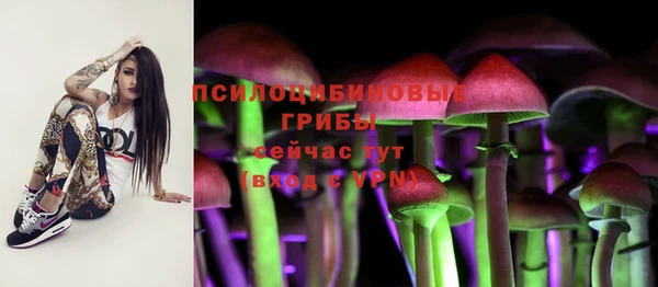 гидра Лихославль