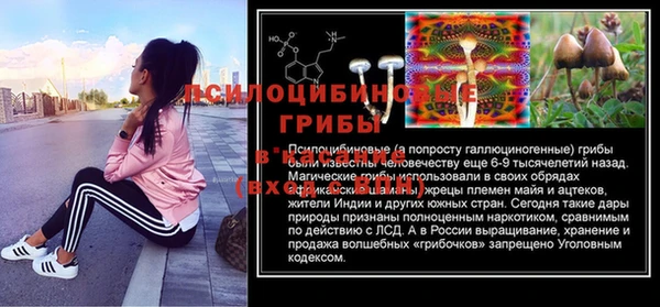 дурь Пенза
