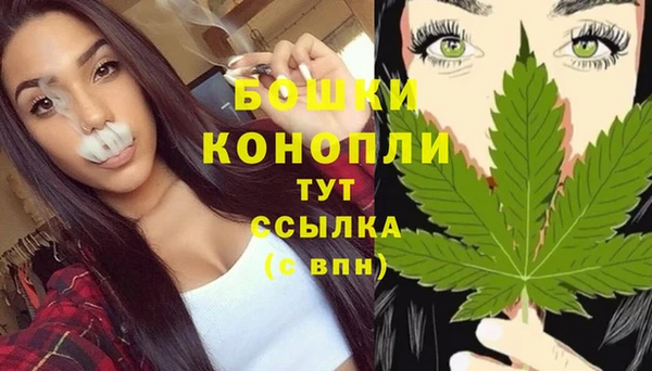 гидра Лихославль