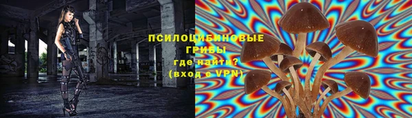 гидра Лихославль