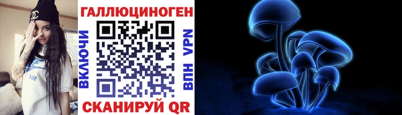 купить закладку  Электросталь  Галлюциногенные грибы мухоморы 